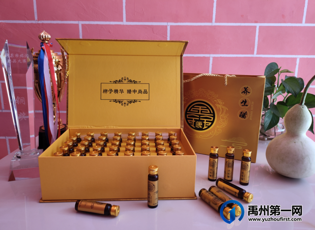 禹州无梁镇首届杏花节即将开幕啦! 禹州无梁镇首届杏花节即将开幕啦!