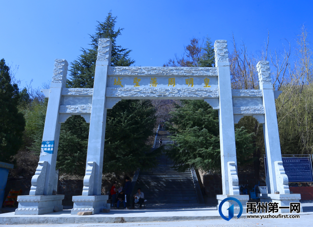 禹州无梁镇首届杏花节即将开幕啦! 禹州无梁镇首届杏花节即将开幕啦!
