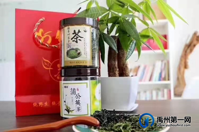 禹州无梁镇首届杏花节即将开幕啦! 禹州无梁镇首届杏花节即将开幕啦!