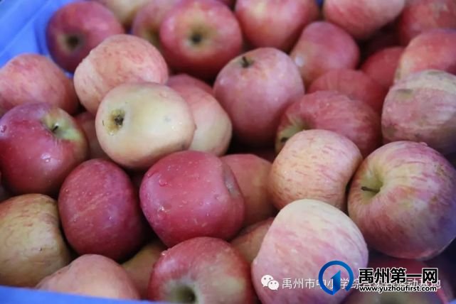 2021年禹州市第一高级中学附属学校综合实践教育活动花絮 2021年禹州市第一高级中学附属学校综合实践教育活动花絮