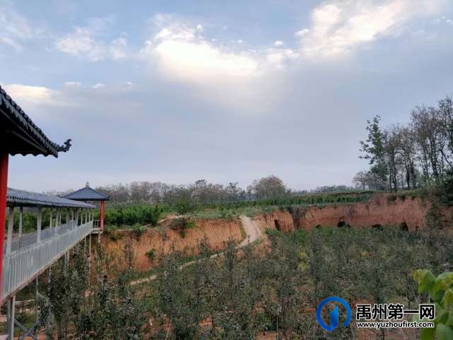 禹州文殊镇樊岗村:昔日的荒山沟变成了如今的聚宝盆 禹州文殊镇樊岗村:昔日的荒山沟变成了如今的聚宝盆