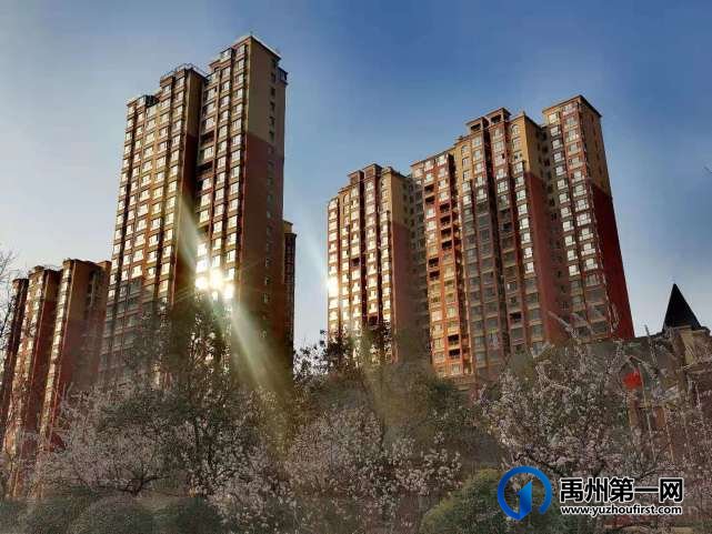 禹州万丰铂金翰宫：春光明媚暖心扉，花开竞艳香满院！