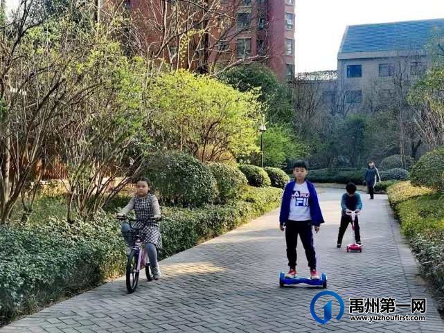禹州万丰铂金翰宫：春光明媚暖心扉，花开竞艳香满院！