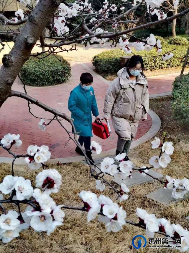 禹州万丰铂金翰宫：春光明媚暖心扉，花开竞艳香满院！