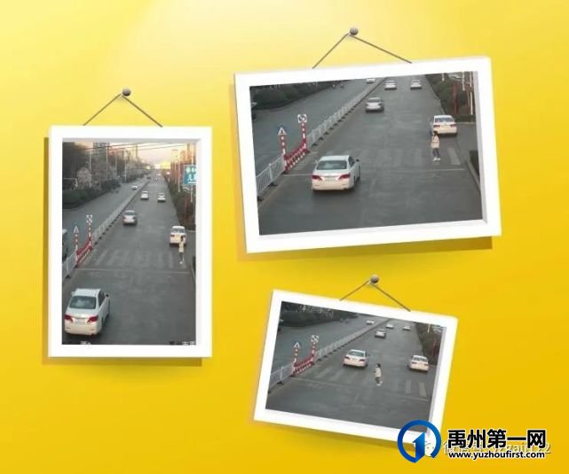 禹州公安交警曝光台丨文明出行,请礼让行人、杜绝闯红灯!! 禹州公安交警曝光台丨文明出行,请礼让行人、杜绝闯红灯!!
