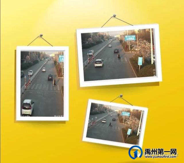 禹州公安交警曝光台丨文明出行,请礼让行人、杜绝闯红灯!! 禹州公安交警曝光台丨文明出行,请礼让行人、杜绝闯红灯!!