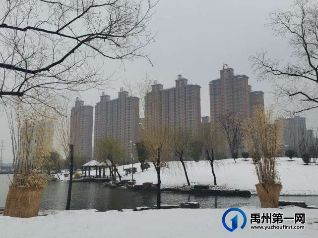 牛年首雪莅禹州，银装素裹“禹王湖！”