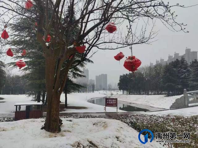 牛年首雪莅禹州，银装素裹“禹王湖！”