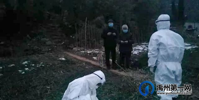 禹州市疾控中心:当好战疫“五大员” 筑牢抗疫防火线 禹州市疾控中心:当好战疫“五大员” 筑牢抗疫防火线