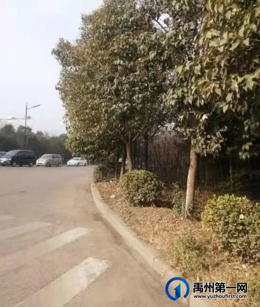 大力治理违规户外广告,保障禹州城市环境整洁 大力治理违规户外广告,保障禹州城市环境整洁