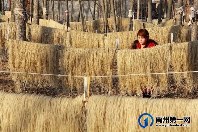 禹州市大数据平台成为拉动乡村振兴新引擎 禹州市大数据平台成为拉动乡村振兴新引擎