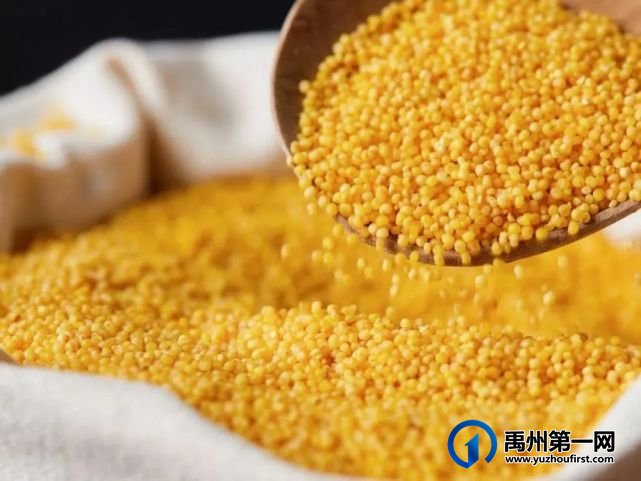 禹州市大数据平台成为拉动乡村振兴新引擎 禹州市大数据平台成为拉动乡村振兴新引擎