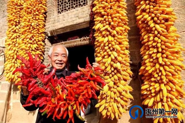 禹州市大数据平台成为拉动乡村振兴新引擎 禹州市大数据平台成为拉动乡村振兴新引擎