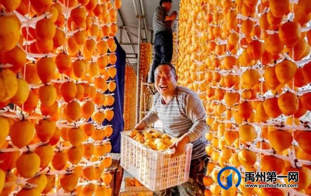 禹州市大数据平台成为拉动乡村振兴新引擎 禹州市大数据平台成为拉动乡村振兴新引擎