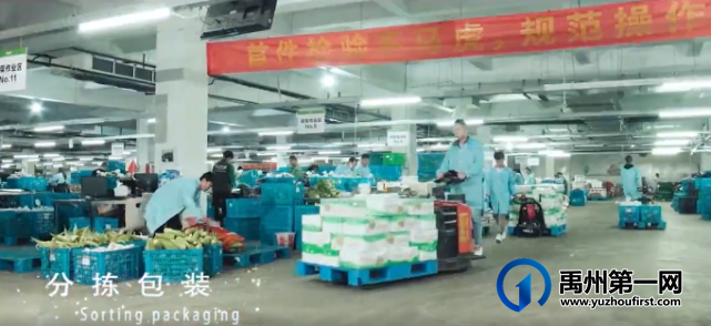 禹州市大数据平台成为拉动乡村振兴新引擎 禹州市大数据平台成为拉动乡村振兴新引擎