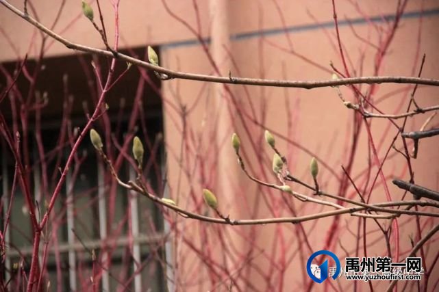 开学啦!铆足牛劲,向前“犇”! 开学啦!铆足牛劲,向前“犇”!