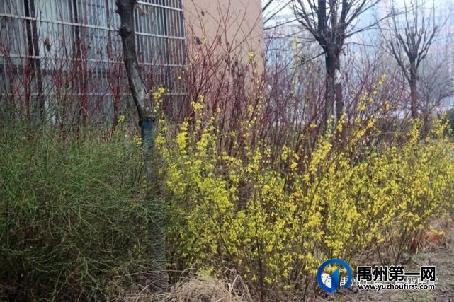 开学啦!铆足牛劲,向前“犇”! 开学啦!铆足牛劲,向前“犇”!