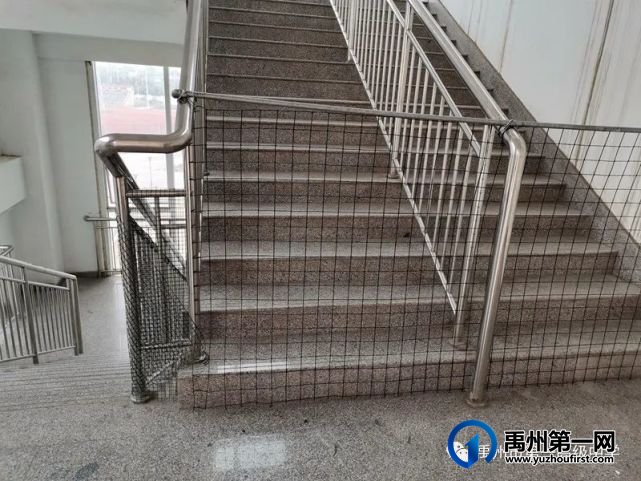 开学啦!铆足牛劲,向前“犇”! 开学啦!铆足牛劲,向前“犇”!