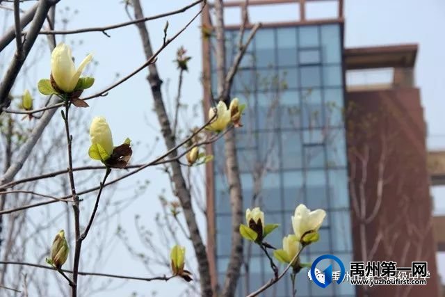 开学啦!铆足牛劲,向前“犇”! 开学啦!铆足牛劲,向前“犇”!