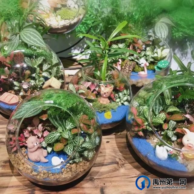 禹州龙之翔禹王宫丨微景观DIY走进瓶子的童话世界! 禹州龙之翔禹王宫丨微景观DIY走进瓶子的童话世界!
