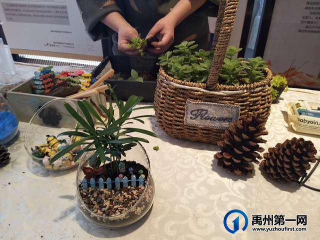 禹州龙之翔禹王宫丨微景观DIY走进瓶子的童话世界! 禹州龙之翔禹王宫丨微景观DIY走进瓶子的童话世界!