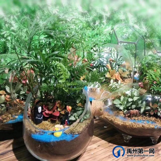 禹州龙之翔禹王宫丨微景观DIY走进瓶子的童话世界! 禹州龙之翔禹王宫丨微景观DIY走进瓶子的童话世界!
