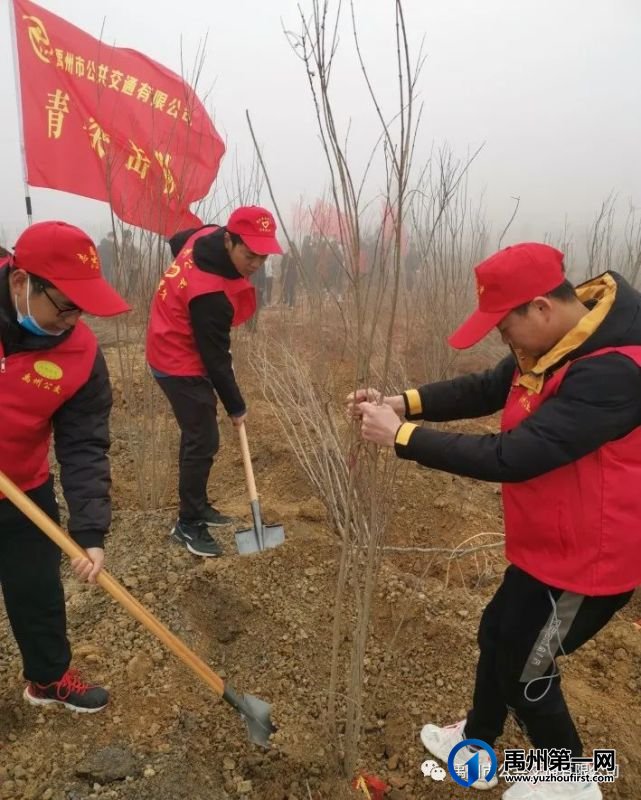 禹州公交团支部积极参加植树活动 禹州公交团支部积极参加植树活动
