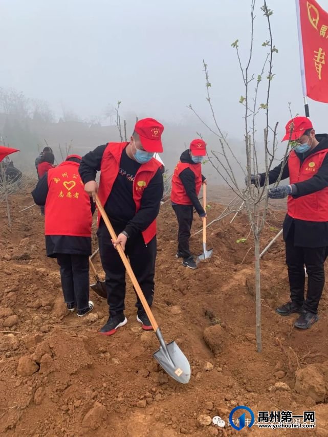 禹州公交团支部积极参加植树活动 禹州公交团支部积极参加植树活动