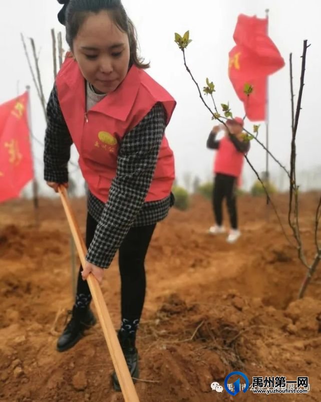 禹州公交团支部积极参加植树活动 禹州公交团支部积极参加植树活动