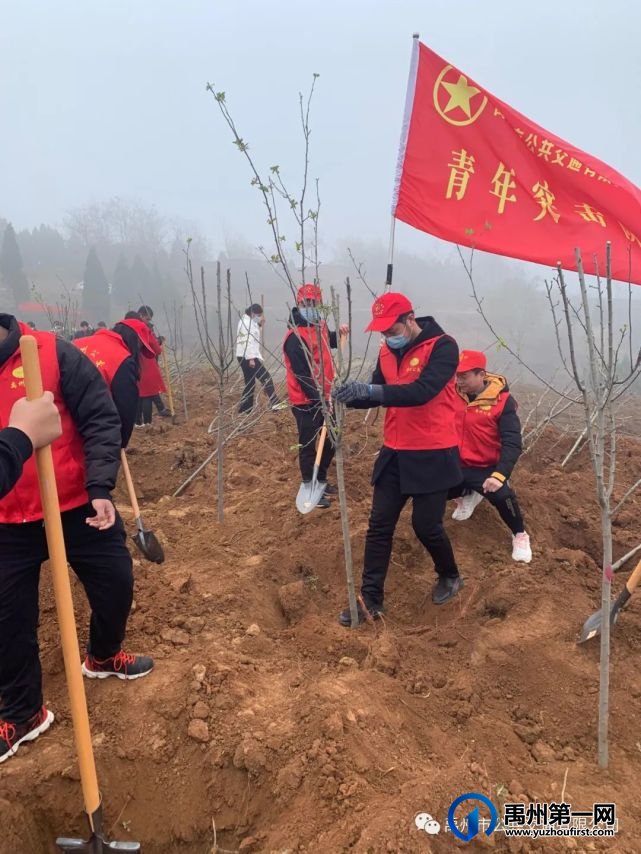 禹州公交团支部积极参加植树活动 禹州公交团支部积极参加植树活动