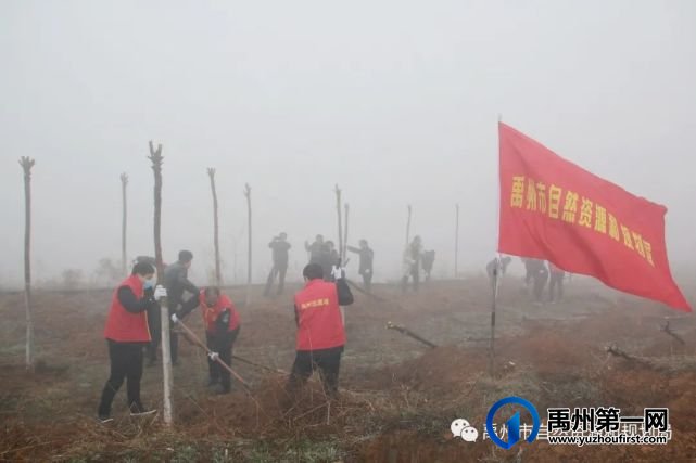 禹州市自然资源和规划局志愿者参加春季义务植树活动 禹州市自然资源和规划局志愿者参加春季义务植树活动