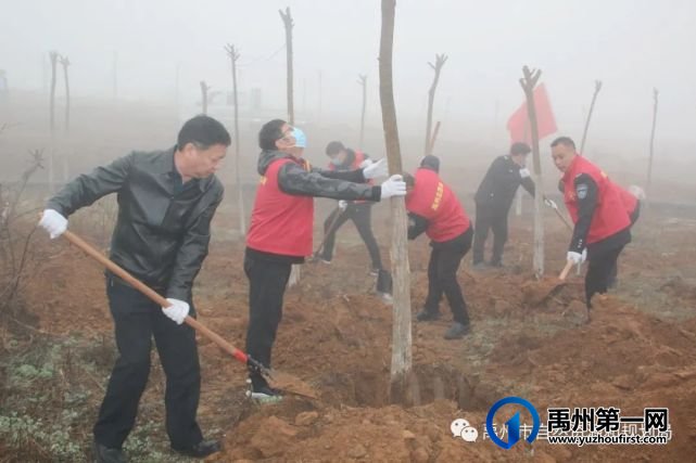 禹州市自然资源和规划局志愿者参加春季义务植树活动 禹州市自然资源和规划局志愿者参加春季义务植树活动