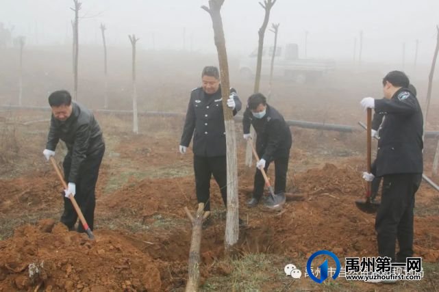 禹州市自然资源和规划局志愿者参加春季义务植树活动 禹州市自然资源和规划局志愿者参加春季义务植树活动