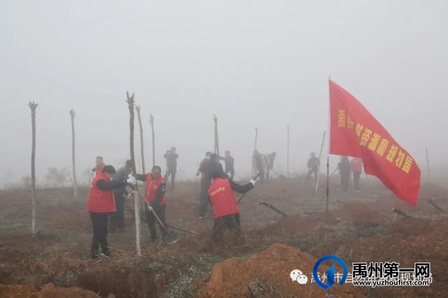 禹州市自然资源和规划局志愿者参加春季义务植树活动 禹州市自然资源和规划局志愿者参加春季义务植树活动
