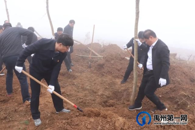 禹州市开展春季全民义务植树活动 禹州市开展春季全民义务植树活动