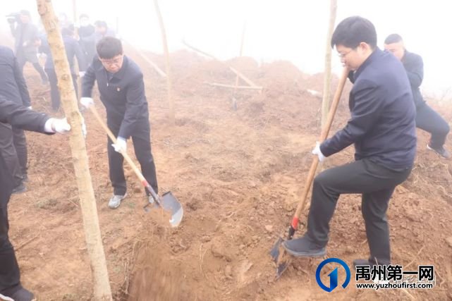 禹州市开展春季全民义务植树活动 禹州市开展春季全民义务植树活动