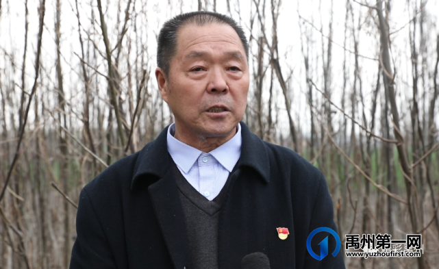 禹州文殊镇陈南村:脱贫村里的新产业 禹州文殊镇陈南村:脱贫村里的新产业