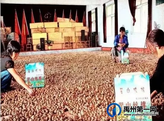 禹州文殊镇陈南村:脱贫村里的新产业 禹州文殊镇陈南村:脱贫村里的新产业