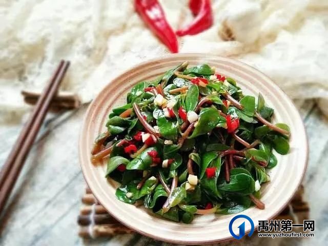 禹州又闻马食菜香 禹州又闻马食菜香