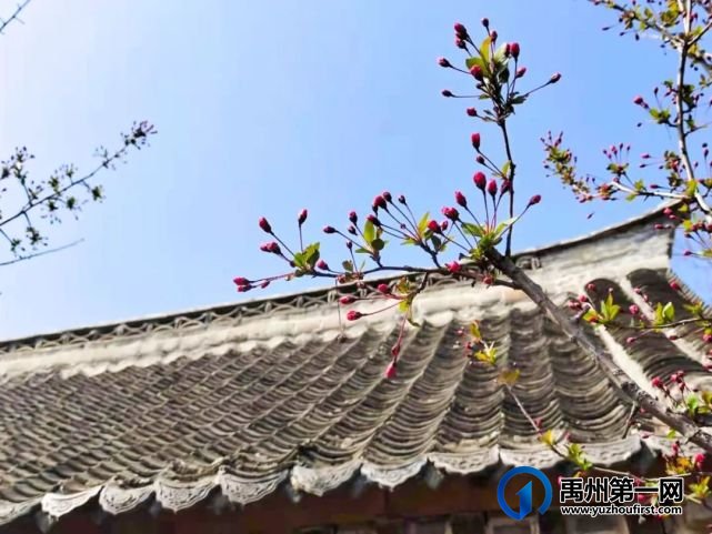 二月二龙抬头!不如来神垕古镇景区走一走~ 二月二龙抬头!不如来神垕古镇景区走一走~