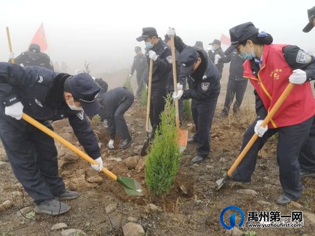 团结协作绿化环保,这些单位为禹州又添新绿! 团结协作绿化环保,这些单位为禹州又添新绿!