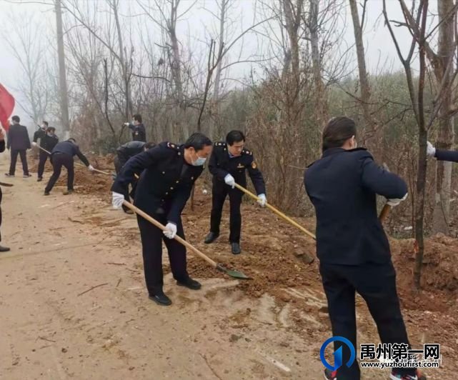团结协作绿化环保,这些单位为禹州又添新绿! 团结协作绿化环保,这些单位为禹州又添新绿!