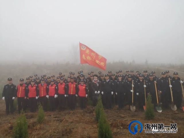 团结协作绿化环保,这些单位为禹州又添新绿! 团结协作绿化环保,这些单位为禹州又添新绿!