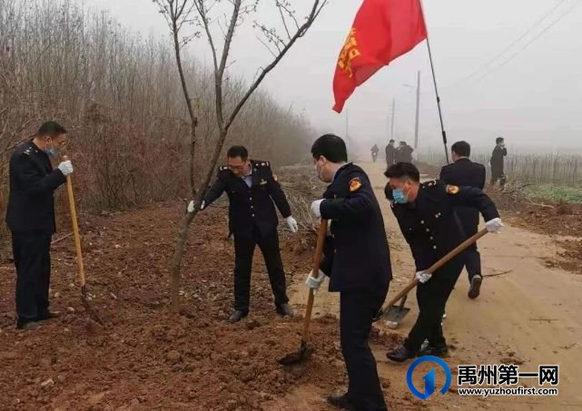 团结协作绿化环保,这些单位为禹州又添新绿! 团结协作绿化环保,这些单位为禹州又添新绿!