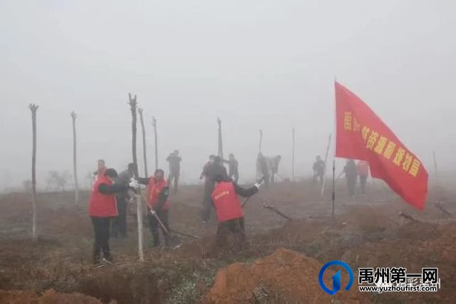 团结协作绿化环保,这些单位为禹州又添新绿! 团结协作绿化环保,这些单位为禹州又添新绿!