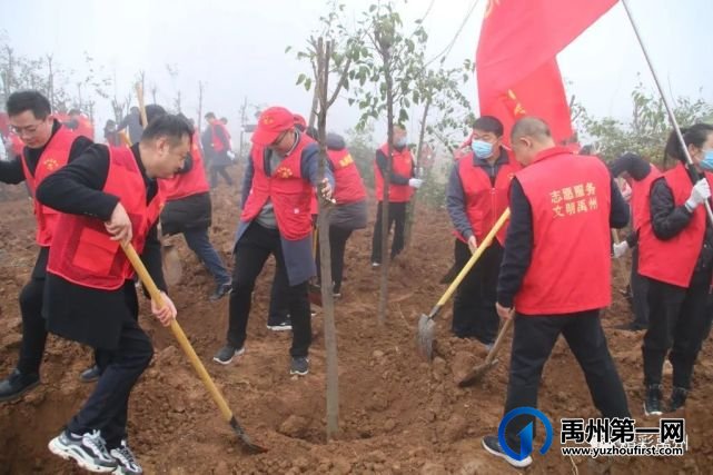 团结协作绿化环保,这些单位为禹州又添新绿! 团结协作绿化环保,这些单位为禹州又添新绿!