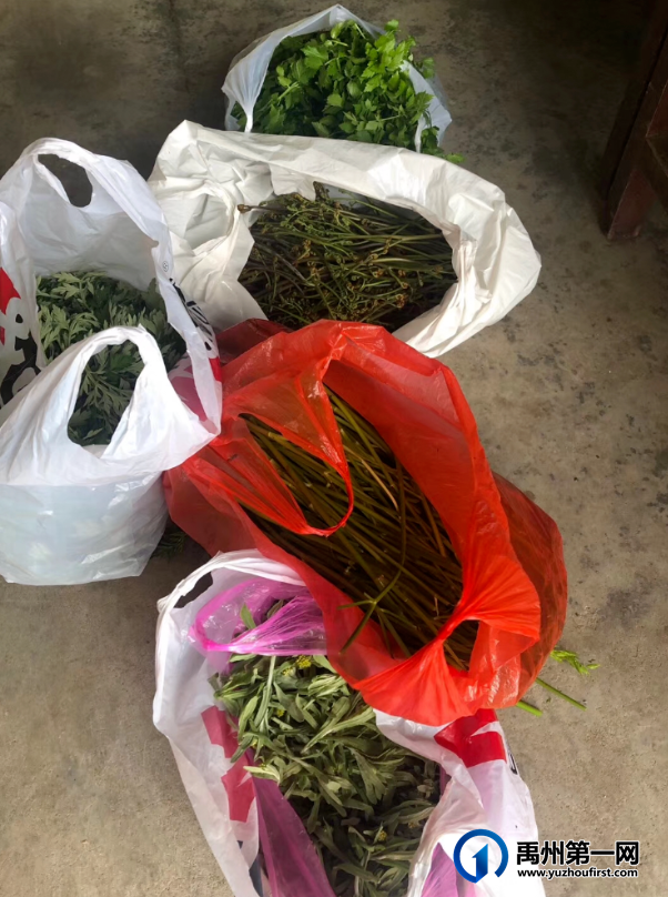 扩散周知!禹州农村遍地是宝!不知道的人却只当是...! 扩散周知!禹州农村遍地是宝!不知道的人却只当是...!