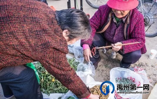 扩散周知!禹州农村遍地是宝!不知道的人却只当是...! 扩散周知!禹州农村遍地是宝!不知道的人却只当是...!