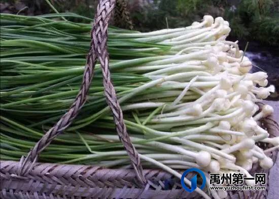 扩散周知!禹州农村遍地是宝!不知道的人却只当是...! 扩散周知!禹州农村遍地是宝!不知道的人却只当是...!
