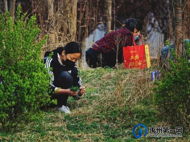 扩散周知!禹州农村遍地是宝!不知道的人却只当是...! 扩散周知!禹州农村遍地是宝!不知道的人却只当是...!